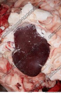 Photo Textures of RAW Pork Meat